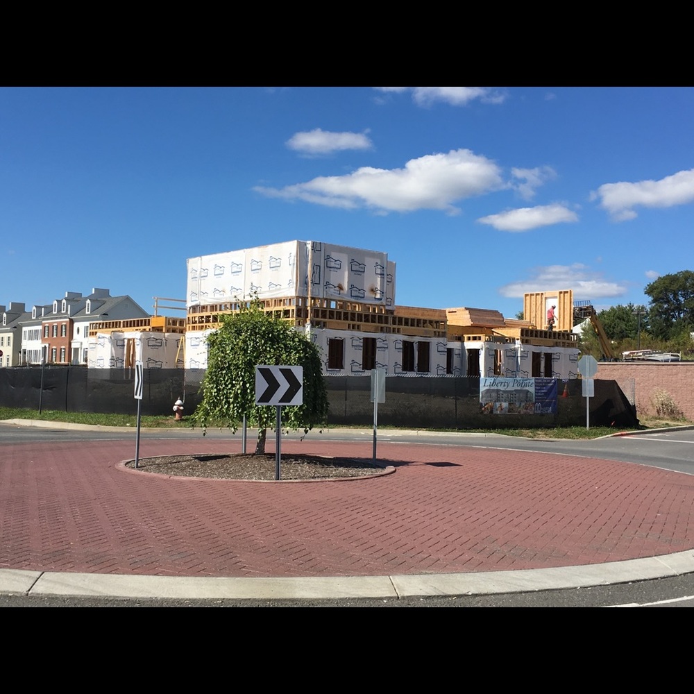 Meet your Posher, Louisa